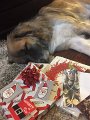 Kids_X-Mas_2016 (55)
